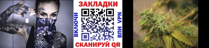 Где купить наркоту Тейково Псилоцибиновые грибы Cocaine Меф мяу мяу Бошки Шишки Гашиш
