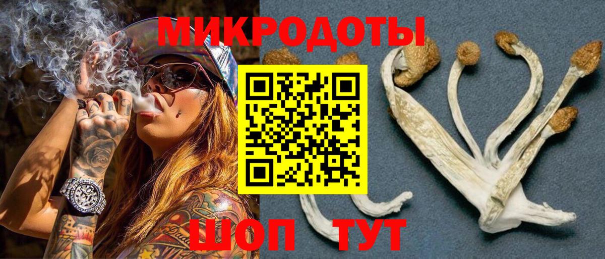 Тейково  Галлюциногенные грибы MAGIC MUSHROOMS  Вход с VPN 